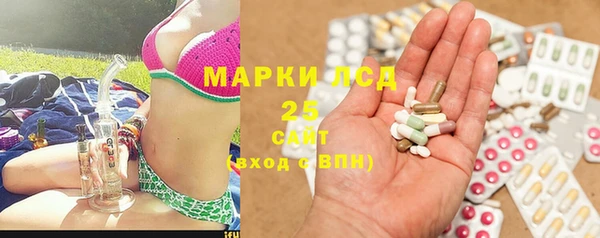 хмурый Зеленокумск