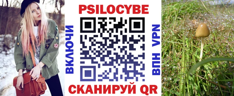 Купить закладки  Изобильный  Псилоцибиновые грибы ЛСД 